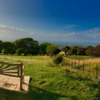 Potter and Potter…anyone