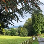 Hacking the Cotswolds and All Things Horses