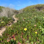 Day 2 on the Fishermen’s Trail… Milfontes to Almograve