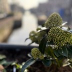 Amsterdam: A City of Tolerance, Resistance, and Remembrance